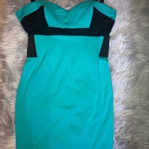 Kardashian Kollection Body con dress